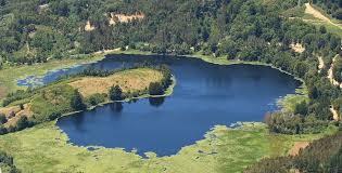 Laguna Pineda