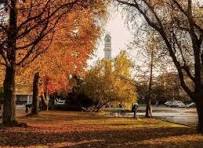 Concepción Herbst 1 Concepción Herbst 1