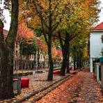 Concepción Herbst 2