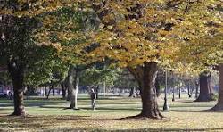 Concepción Herbst 3